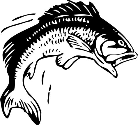 Fish Clip Art Black White royalty.